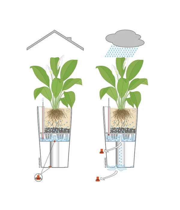 LECHUZA® CUBICO Color, All-in-One-Set 5 LECHUZA® CUBICO Color, All-in-One-Set – Bild 5