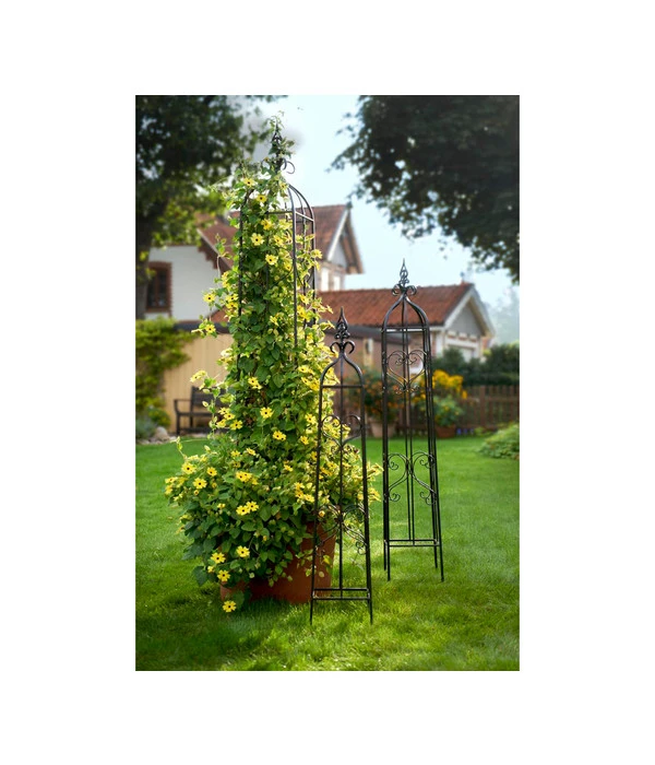 Dehner Metall-Rankobelisk Heart, Grau 2 Dehner Metall-Rankobelisk Heart, Grau – Bild 2