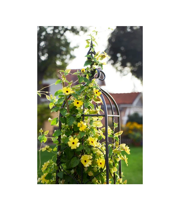 Dehner Metall-Rankobelisk Heart, Grau 3 Dehner Metall-Rankobelisk Heart, Grau – Bild 3