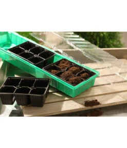 Dehner Zimmergewächshaus Frans, 54 X 15 X 12 Cm -Gardena Store 207456 BildM 001 RombergZimmergewaechshausFransFensterbGewH54X15x12