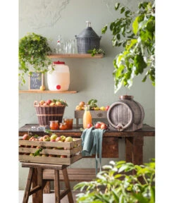 Glasballon Im Kunststoff-Schutzkorb -Gardena Store 207704 207712 207720 207738 207787 WE MO 001 GlasballonKunststoffSchutzkorb