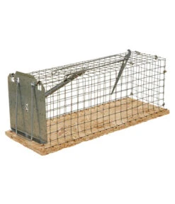 Lebendfalle Für Ratten