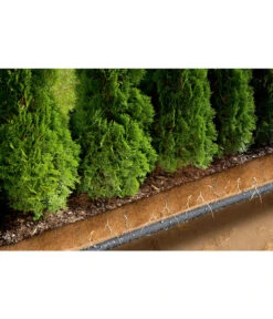 GARDENA Perlregner-Bewässerungsschlauch, 15 M -Gardena Store 211979 WE DE 003 PERLREGNERSCHL15MTR