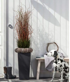 Dehner Kunststoff-Topf Elise, Konisch, Glänzend, Inkl. Bewässerungssystem 14 Dehner Kunststoff-Topf Elise, Konisch, Glänzend, Inkl. Bewässerungssystem -Gardena Store 2539518 WE MO 003 KunststofftopfEliseAnthrazit