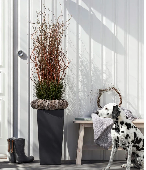 Dehner Kunststoff-Topf Elise, Konisch, Glänzend, Inkl. Bewässerungssystem 6 Dehner Kunststoff-Topf Elise, Konisch, Glänzend, Inkl. Bewässerungssystem – Bild 6