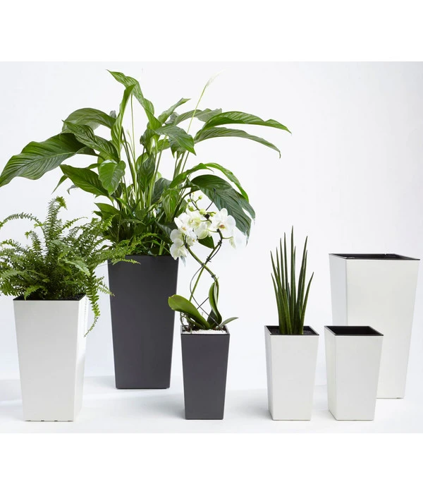 Dehner Kunststoff-Topf Elise, Konisch, Glänzend, Inkl. Bewässerungssystem 5 Dehner Kunststoff-Topf Elise, Konisch, Glänzend, Inkl. Bewässerungssystem – Bild 5