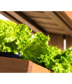 Hecht Hochbeet Cube 4, Ca. B82/H145/T50 Cm -Gardena Store 3060399 WE DE 003 HechtHochbeetCube4NEU