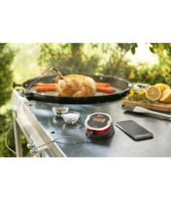 Weber® IGrill 2 Mit Zwei Messfühlern -Gardena Store 3210796 WE MO 001 IgrillIIZweiMessfuehler