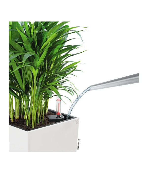 LECHUZA® CUBICO Color, All-in-One-Set 7 LECHUZA® CUBICO Color, All-in-One-Set – Bild 7