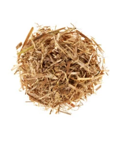 Neue Veröffentlichungen -Gardena Store 3940285 BildD 001 PilzmaennchenBioHomePilzzuchtsetAusternpilzPilzbrutAusternpilzSet