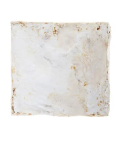 Pilzmännchen Bio Pilzzuchtset Austernpilz -Gardena Store 3940285 BildD 002 PilzmaennchenBioHomePilzzuchtsetAusternpilzPilzbrutAusternpilzSet