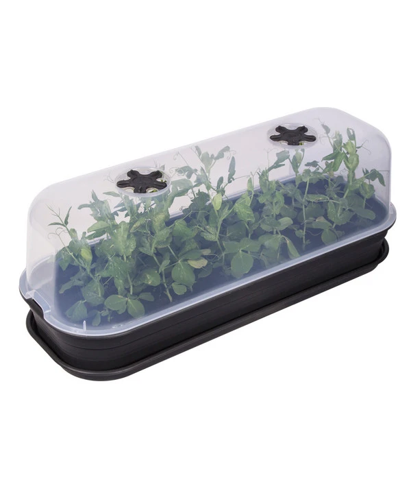 Elho Anzuchthaube L 2 Elho Anzuchthaube L – Bild 2