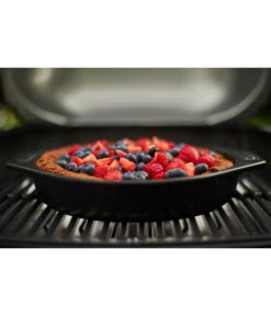 Weber Elektrogrill Pulse 2000 Black -Gardena Store 4073169 WE MO 005 WEBER ELEKtROG PULSE 2000
