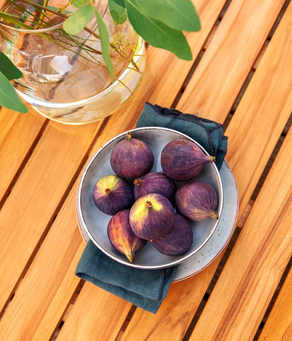 Dehner Aluminium-Lounge Malibu, 2-teilig 9 Dehner Aluminium-Lounge Malibu, 2-teilig – Bild 9