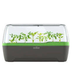 Romberg BoQube Gewächshaus -Gardena Store 4299970 WE FS 005 RombergGewaechshausZimmergewaechshausAnzucht