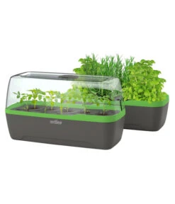 Romberg BoQube Gewächshaus -Gardena Store 4299970 WE FS 006 BoQubeGewaechshausZimmergewaechshaus