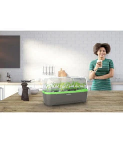 Romberg BoQube Gewächshaus -Gardena Store 4299970 WE MO 001 RombergGewaechshausZimmergewaechshausAnzucht