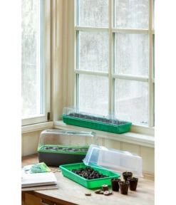 Romberg BoQube Gewächshaus -Gardena Store 4299970 WE MO 004 BoQubeZimmergewaechshaus 1