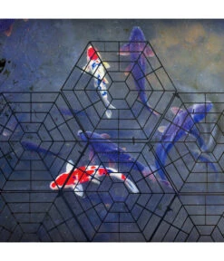 Gardigo Teichschutz -Gardena Store 4315362 WE MO 003 GardigoTeichschutz