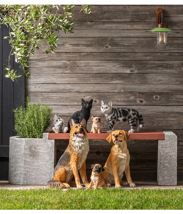 Dehner Polyresin-Französische Bulldogge Welpe, Ca. B16,5/H18/T13 Cm 2 Dehner Polyresin-Französische Bulldogge Welpe, Ca. B16,5/H18/T13 Cm – Bild 2