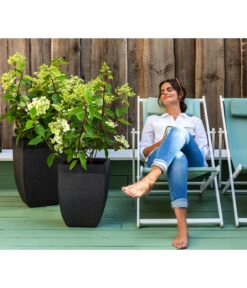 Dehner Strandstuhl Aruba 8 Dehner Strandstuhl Aruba -Gardena Store 4418422 WE MO 002 StrandstuhlArubaNeu