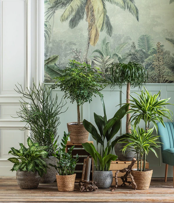 Dehner Seegras-Korb Igmar, Konisch 4 Dehner Seegras-Korb Igmar, Konisch – Bild 4