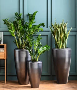 Dehner Keramik-Vase Lissabon Mit LECHUZA® Bewässerungssystem, Konisch -Gardena Store 4448833 4448858 4448841 WE MO 002 PflanzvaseLissabonAnthrazit