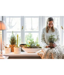 Dehner Keramik-Jardiniere Luisa, Oval, Weiß, Ca. B51/H12,5 Cm -Gardena Store 4450714 4450722 4448346 WE MO 001 TopfMatheaJardiniereLuisa