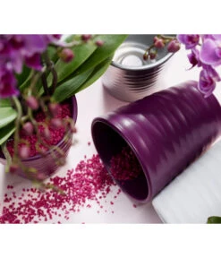 Dehner Keramik-Übertopf Wave, Konisch -Gardena Store 5014188 PR MO 001 OrchideenUebertopfWavePflaume