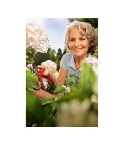 Wolf-Garten Wolf Gartenschere RR 4000 -Gardena Store 5174222 MO 003 GARTENSCHERERR4000