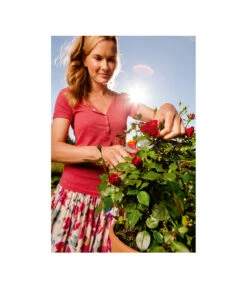 Wolf-Garten Wolf Gartenschere RR 4000 -Gardena Store 5174222 MO 004 GARTENSCHERERR4000