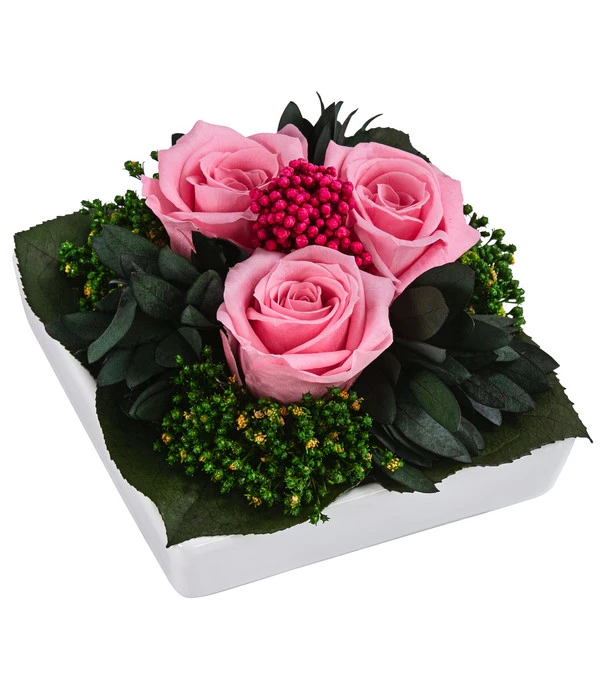 Dehner Keramik-Schale Mit Longlife-Rose Zina, Ca. B9,5/H6 Cm 1 Dehner Keramik-Schale Mit Longlife-Rose Zina, Ca. B9,5/H6 Cm