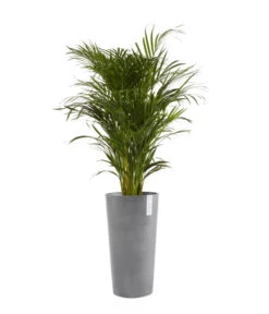 Ecopots Kunststoff-Topf Amsterdam, Rund -Gardena Store 6614358 WE FS 002 EcopotsKunststoffTopfAmsterdamhalbhochrund