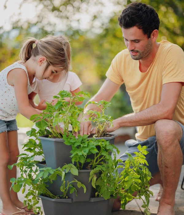 Gusta Garden Kartoffelturm Paul Potato Starter 3 Etagen, Ca. B44/H50/T44 Cm 2 Gusta Garden Kartoffelturm Paul Potato Starter 3 Etagen, Ca. B44/H50/T44 Cm – Bild 2