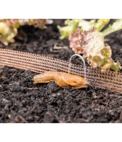 Windhager Schneckenzaun, Ca. L8 M -Gardena Store 6663322 WE MO 001 WindhagerSchneckenzaun