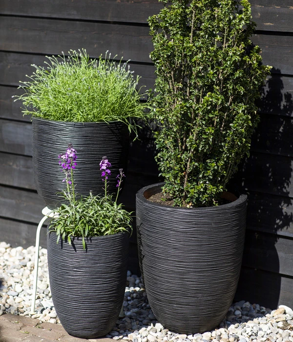 Capi Europe Kunststoff-Topf Rib Hoch, Rund 2 Capi Europe Kunststoff-Topf Rib Hoch, Rund – Bild 2
