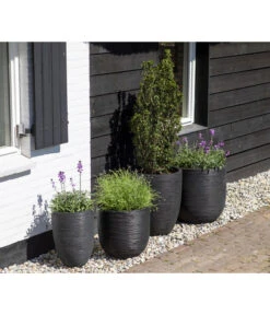 Capi Europe Kunststoff-Topf Rib Hoch, Rund 5 Capi Europe Kunststoff-Topf Rib Hoch, Rund -Gardena Store 6697304 WE MO 002 CapiEuropeKunststoffTopfRibrund