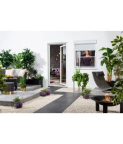 Hecht Schiebefenster Comfy Slide, Ca. B75/H100/T0,9 Cm -Gardena Store 6771794 WE MO 004 HechtSchiebefensterComfort