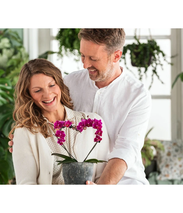 Dehner Keramik-Übertopf Nature Earth, Konisch, Grau, Ca. Ø14 Cm 2 Dehner Keramik-Übertopf Nature Earth, Konisch, Grau, Ca. Ø14 Cm – Bild 2