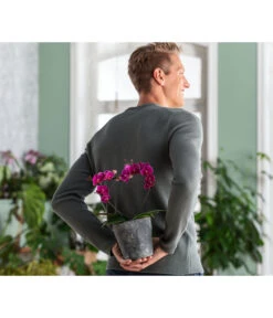 Dehner Keramik-Übertopf Nature Earth, Konisch, Grau, Ca. Ø14 Cm 6 Dehner Keramik-Übertopf Nature Earth, Konisch, Grau, Ca. Ø14 Cm -Gardena Store 6895577 WE MO 002 OrchideentopfNature