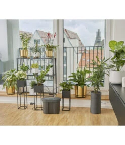 GARDENA Urlaubsbewässerung Set Inkl. Wasserreservoir -Gardena Store 6916290 WE MO 002 GardenaUrlaubsbewaesserungSetWasserreservoir