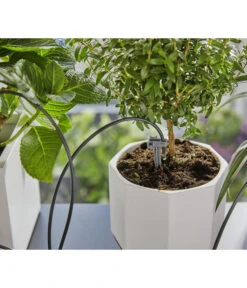 GARDENA Urlaubsbewässerung Set Inkl. Wasserreservoir -Gardena Store 6916290 WE MO 004 GardenaUrlaubsbewaesserungSetWasserreservoir