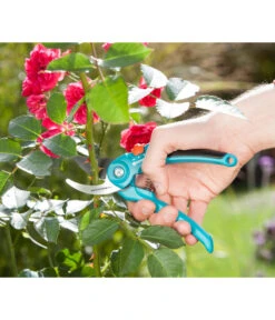 GARDENA Bypass Gartenschere B/S-M -Gardena Store 6916308 WE MO 003 GardenaGartenschereBS M