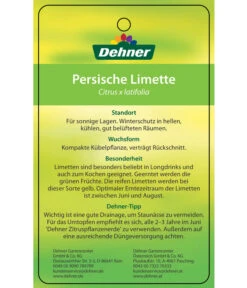 Limette 'Lima Verde' -Gardena Store 7119001 PersischeLimette Etikett 2