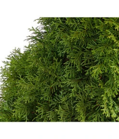 10 Meter Lebensbaum 'Smaragd', 20 X Ca. 125-150 Cm -Gardena Store 7513534 WE DE 001 ThujaLebensbaumOccidentalisSmaragd20LDehnerExpressHerzig