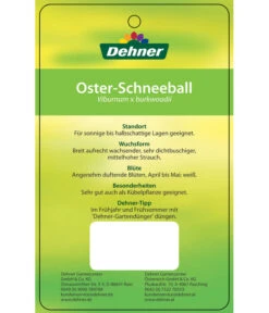 Wintergrüner Schneeball 'Burkwoodii' -Gardena Store 7533391 OsterSchneeball Etikett 2