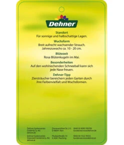 Duft-Schneeball 'Aurora' -Gardena Store 7534274 DuftschneeballAurora Etikett 02