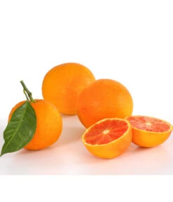 Blutorange -Gardena Store 7622756 PR DE 001 Blutorange Herzig