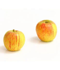 Winterapfel 'Cox Orange'