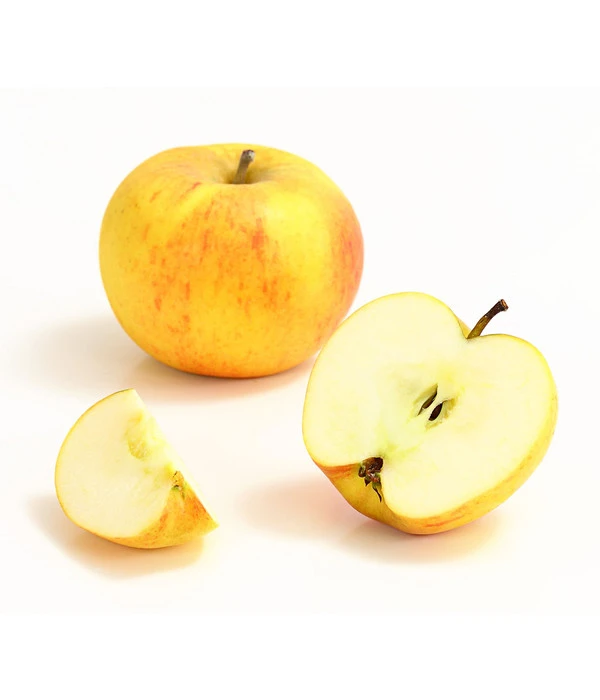 Winterapfel 'Goldparmäne' 2 Winterapfel 'Goldparmäne' – Bild 2